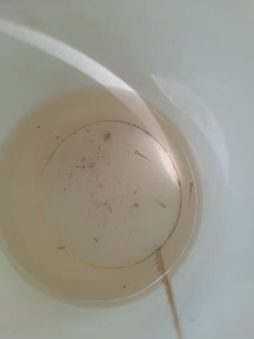 Зарибител и личинки шаран Риба - град Бургас | Селскостопански Животни - снимка 9