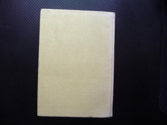 Животът и приключенията на Робинзон Крузо Даниел Дефо остров, град Радомир - снимка 3