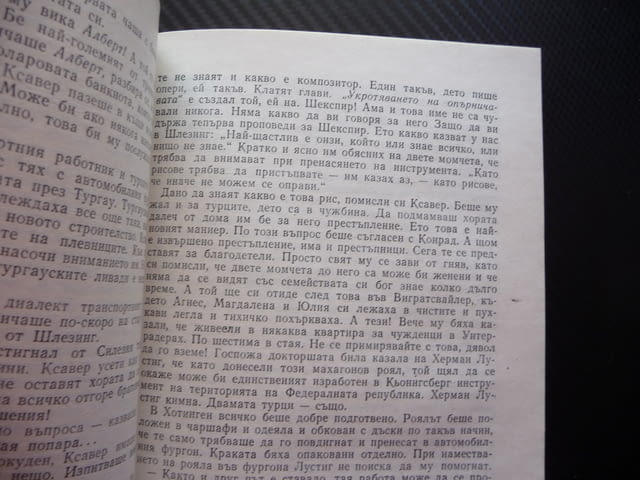 Душевни терзания Мартин Валзер професия шофьор автомобил частен - снимка 2