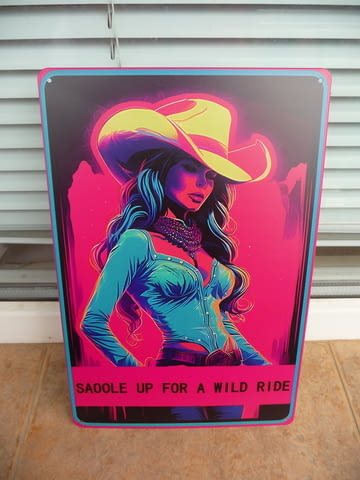 Метална табела еротика каубийка секси каубойска шапка Wild ride sexy - снимка 1