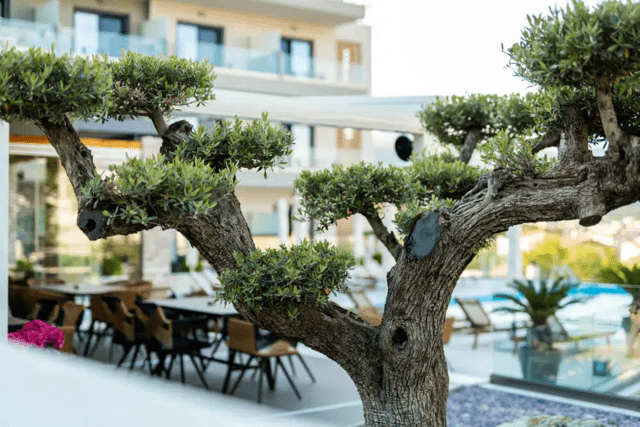 ХОТЕЛ PANORAMA HILL за твоята вълшебна гръцка ваканция, град Видин | Екскурзии в Чужбина - снимка 4