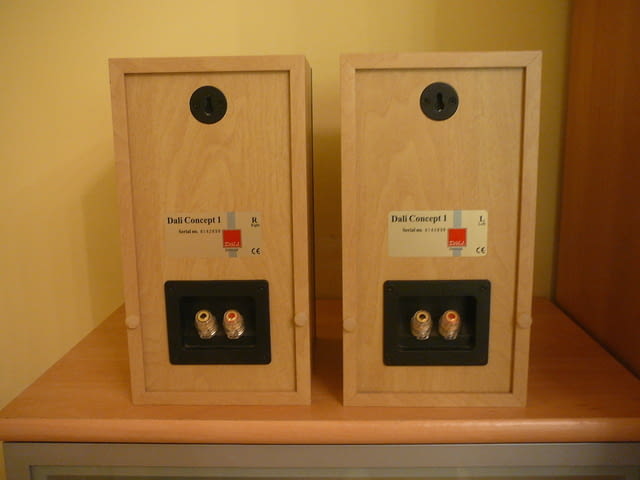 Dali concert 1 - city of Pazardzhik | Amplifiers & Boards - снимка 4