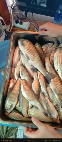 Електровъдици - град Велико Търново | Лов / Риболов - снимка 5