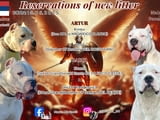 Reservation of Dogo Argentino puppies