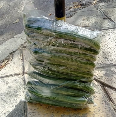 Чували за краставици - city of Varna | Equipment - снимка 4