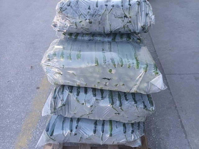 Чували за краставици - city of Varna | Equipment - снимка 5