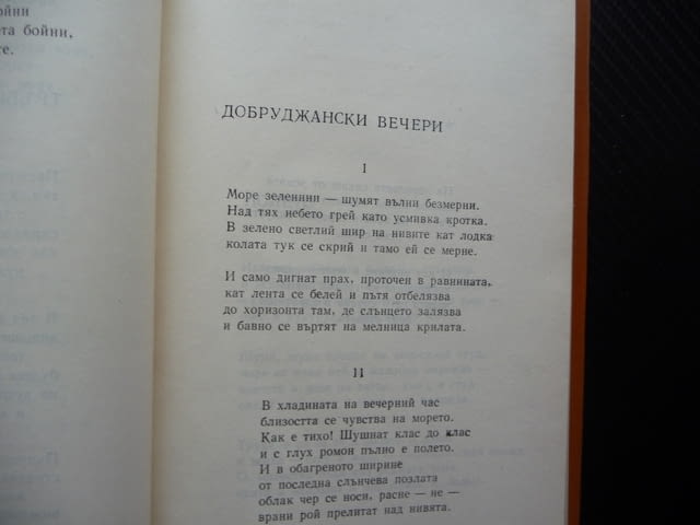 Стихотворения Никола Ракитин Български писател поезия, град Радомир | Художествена Литература - снимка 2