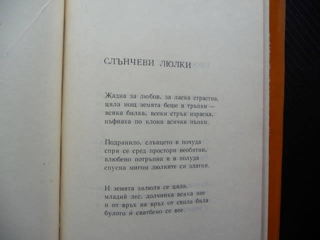 Стихотворения Никола Ракитин Български писател поезия, град Радомир | Художествена Литература - снимка 3