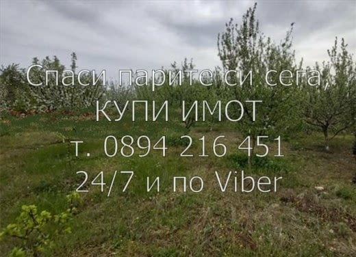 Код 61476. Овощна градина 5400м2- 30% от дърветата са череши, останалите са праскови, кайсии, нектар - снимка 1