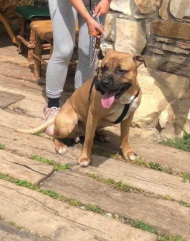 Ненаситна Атлетично, На мой терен, Частно лице - град Пловдив | Жена търси Мъж - снимка 2