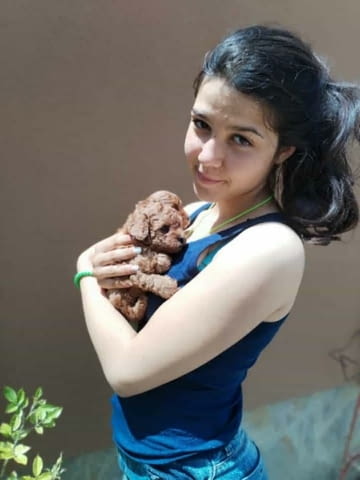 Червен той пудел Mini Poodle, 2 Months - city of Izvun Bulgaria | Dogs - снимка 5