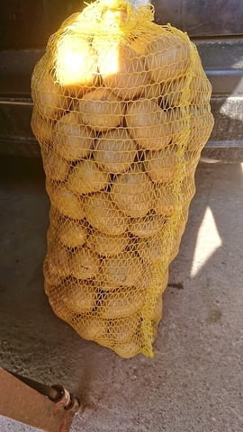 Гаци за картофи - град Варна | Техника / Инструменти - снимка 1