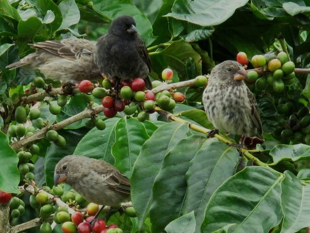 Най-доброто от Колумбия с посещение на емблематични обекти и водач от България! - снимка 2