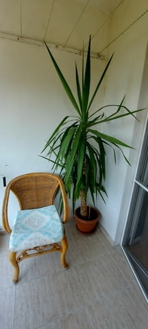 Луксозен тристаен апартамент с разширения в кв. Любен Каравелов, гр. Хасково - снимка 11