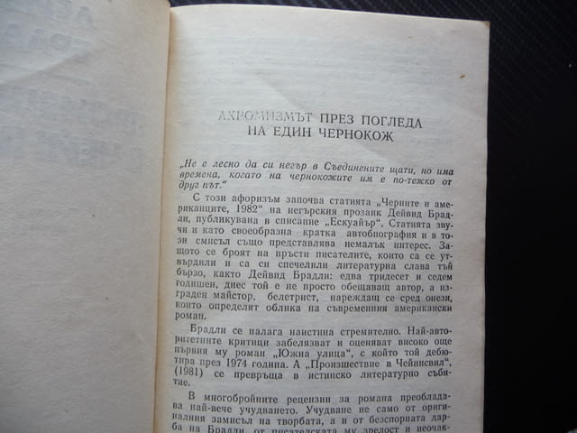 Произшествие в Чейнисвил Дейвид Брадли трилър криминален мистерия загадка корупция - снимка 2