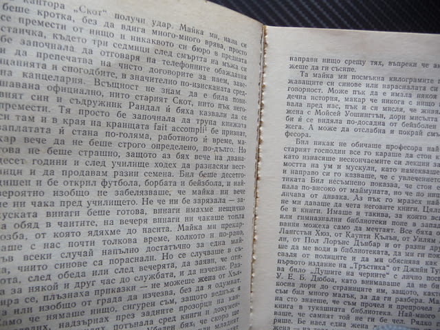 Произшествие в Чейнисвил Дейвид Брадли трилър криминален мистерия загадка корупция - снимка 3