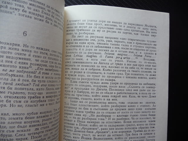 Сърната Магда Сабо Чужда проза унгарска роман бестселър, city of Radomir | Fiction - снимка 2