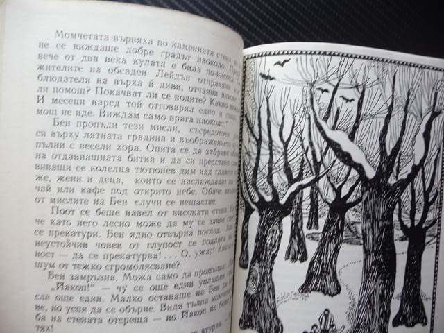 Сребърните кънки Мери Мейпс Додж Хубава книга добра цена евтина книга - снимка 3