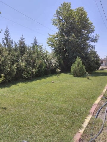 Зърно база - град Нова Загора | Други - снимка 9