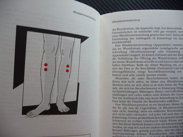 Akupressur wirkt sofort: Schmerzlinderung ohne Medikamente - Wolf Ebner. Немски език. - снимка 2