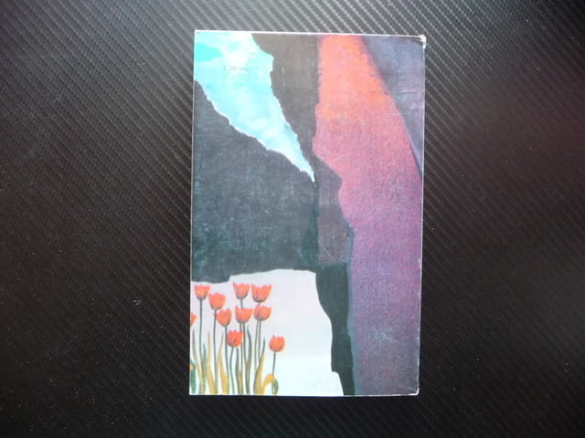 Жената на баща ми Елена Огнянова рядка книга хубава, city of Radomir | Fiction - снимка 3