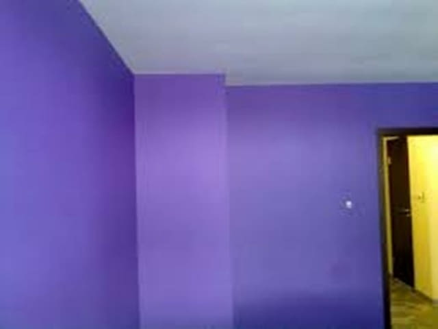 Бояджийски услуги Боядисване латекс боя Майстор Бояджия опит, град София | Ремонти - снимка 4