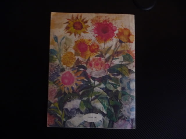 Скалата на вечността Финландска народна приказка русунки картини - снимка 4