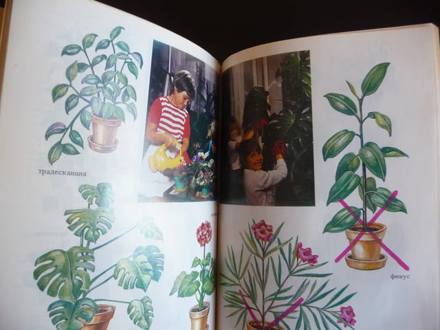 Запознаване с околната действителност в детската градина в помощ на учителя педагог - снимка 3