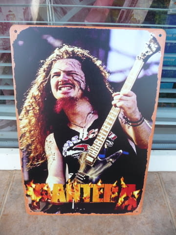 Метална табела музика Pantera Dimebag Darrell метъл китара китарист на живо концерт - снимка 1