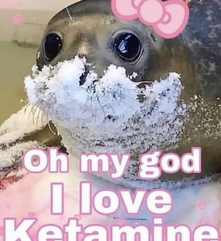 Купете 2-C-C, 4-Aco-DMT, кетамин, ксанакс и други тук., village Angelov | Other - снимка 1