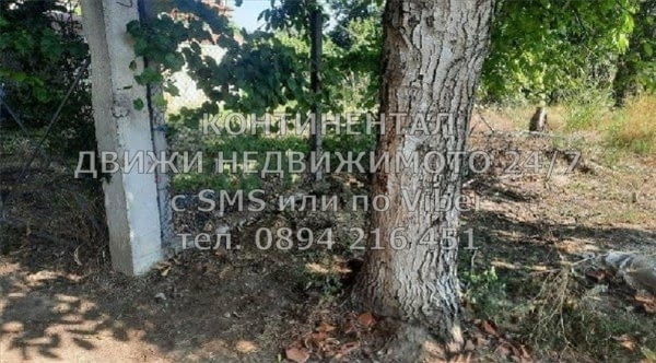 Кодг 62037. Поземлен имот 400м2 с ток, вода и сонда за поливане в самото място. Подходящо е за застр - снимка 3