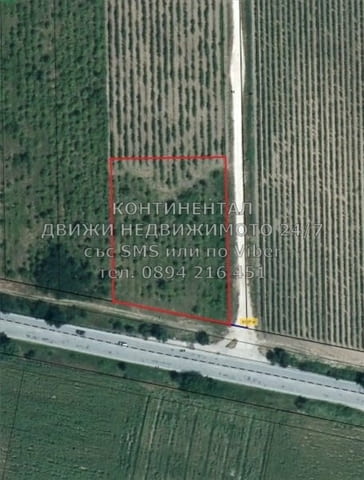 Кодг 61918. Лозе старо 3600м2 кат. 4-та, с лице на шосето 60м, подходящ за стоп. дейност след смяна - снимка 1