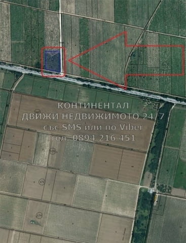 Кодг 61918. Лозе старо 3600м2 кат. 4-та, с лице на шосето 60м, подходящ за стоп. дейност след смяна - снимка 2