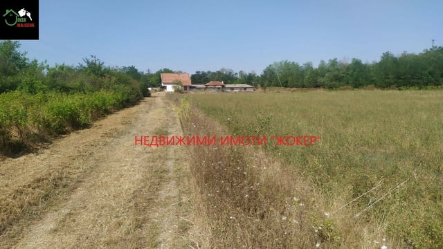 Кравеферма с двуетажна къща 2-етажна, Тухла, 120 м2 - село Родина | Къщи / Вили - снимка 2