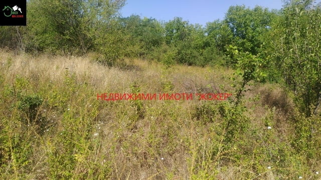 Парцел в регулация в село Родина 2885 m2, For living - village Rodina | Land - снимка 3