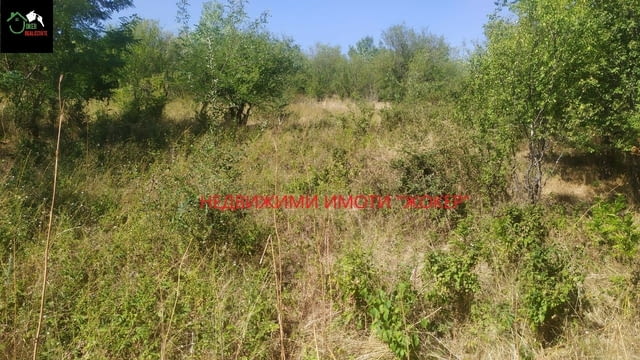 Парцел в регулация в село Родина 2885 m2, For living - village Rodina | Land - снимка 4