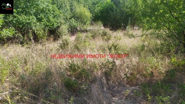 Парцел в регулация в село Родина 2885 m2, For living - village Rodina | Land - снимка 5