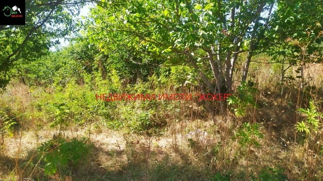 Парцел в регулация в село Родина 2885 m2, For living - village Rodina | Land - снимка 6