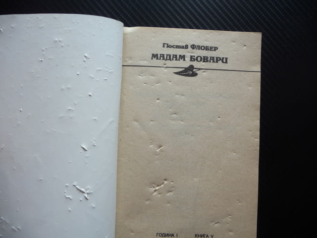 Мадам Бовари Гюстав Флобер класика ретро любовен роман 5 колекция - снимка 2
