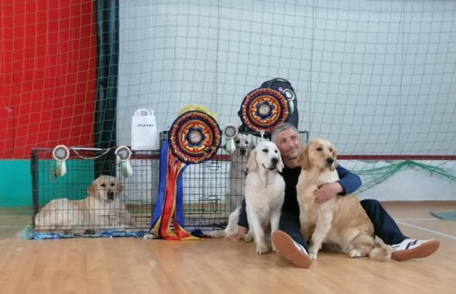 Златен ретривър – Прекрасни кученца Голдън ртривър, Ваксинирано - Да, Обезпаразитено - Да - град Извън България | Кучета - снимка 10