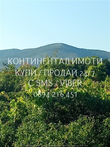 Код 63073. УПИ-та по избор от четири с големина 720м2 - Лице 18м., дълбочина 40м, граничещи с общинс - снимка 1