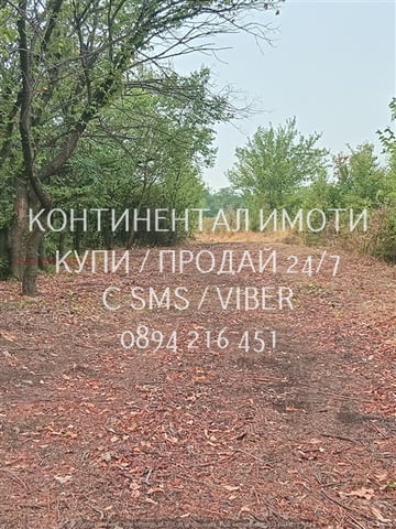 Код 63073. УПИ-та по избор от четири с големина 720м2 - Лице 18м., дълбочина 40м, граничещи с общинс - снимка 4