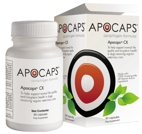 Мощната хранителна добавка, за оцеляване при кучета с рак“, city of Sofia