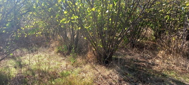 ПАРЦЕЛ/УПИ в с. Книжовник, обл. Хасково 1020 м2, За жил.строителство - село Книжовник | Парцели / Земя - снимка 2