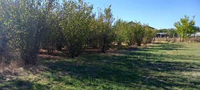 ПАРЦЕЛ/УПИ в с. Книжовник, обл. Хасково 1020 м2, За жил.строителство - село Книжовник | Парцели / Земя - снимка 3