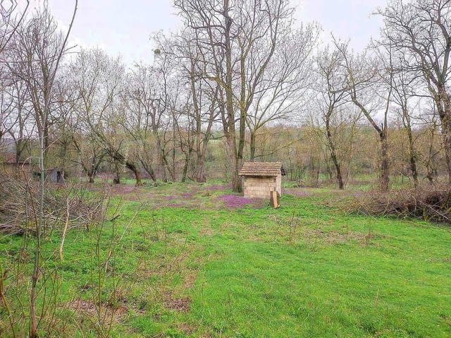 3-етажна масивна сграда в с. Сини Вир, област Шумен, село Сини вир | Къщи / Вили - снимка 5