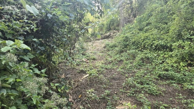 Парцел 2444 кв.м. за продажба в село Брусен, общ. Етрополе, град София | Парцели / Земя - снимка 2