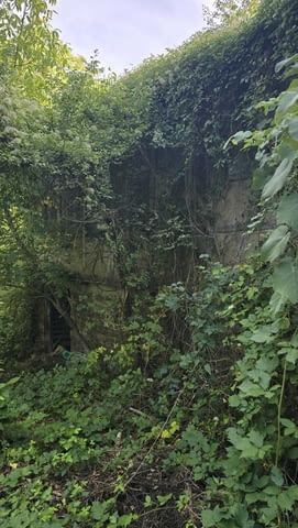 Парцел 2444 кв.м. за продажба в село Брусен, общ. Етрополе, град София | Парцели / Земя - снимка 3