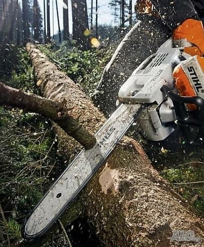 Почистване от храсти трева дървета, град Белослав | Цветя / Растения / Саксии