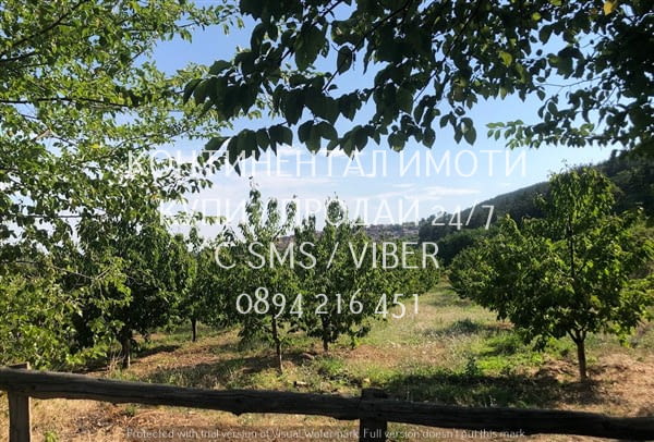 Кодл 63086. Черешова градина 4400м2 в отлично състояние, с ограда - лесен достъп на около 700м от се - снимка 4